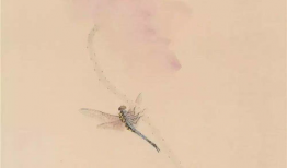 王不染,探寻东方美学与现代生活的交融之道